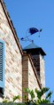 /album/galleria-foto-casa/a1-1-05-jpg/